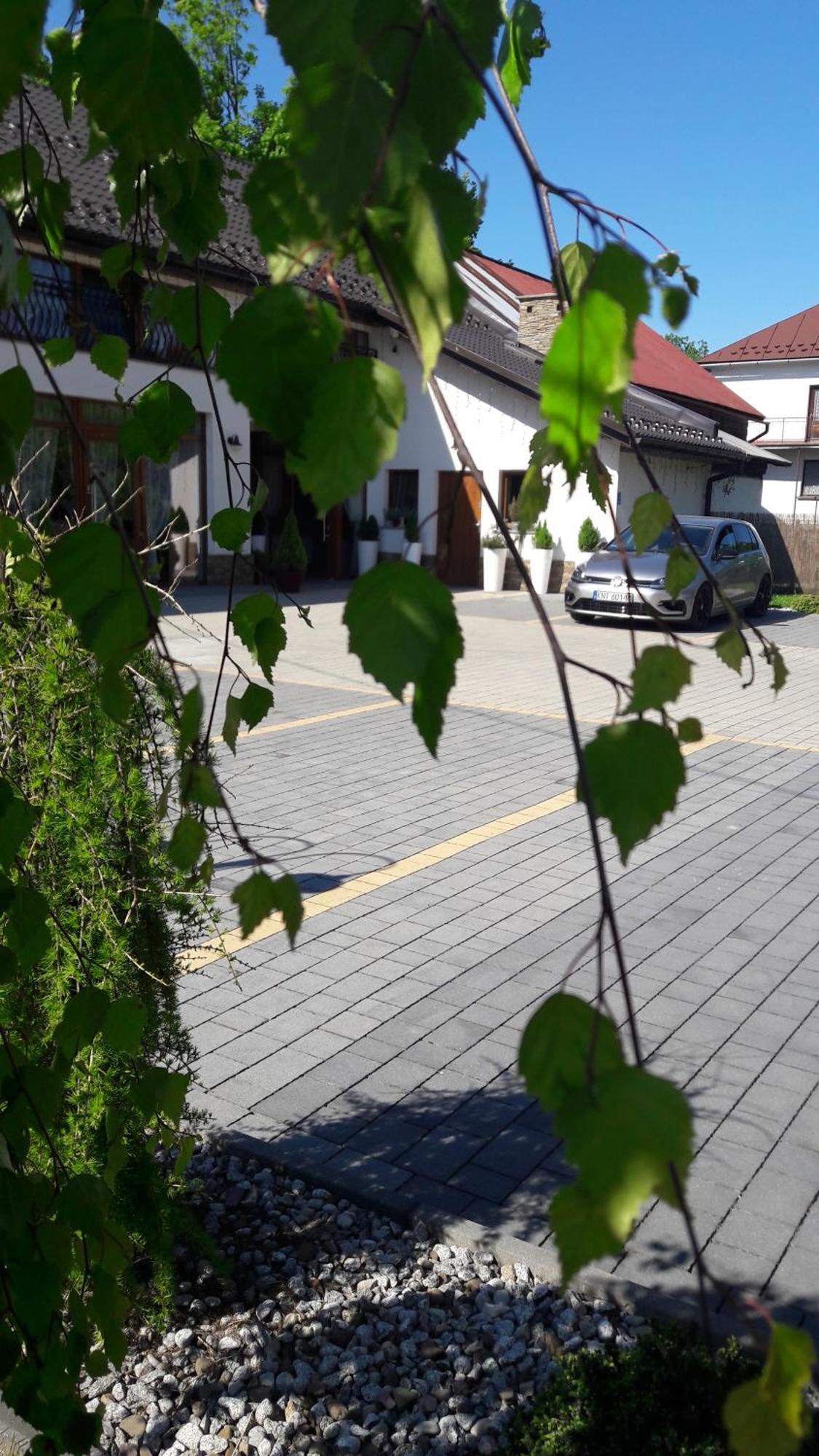 Willa Nad Potokiem Czarny Dunajec Εξωτερικό φωτογραφία