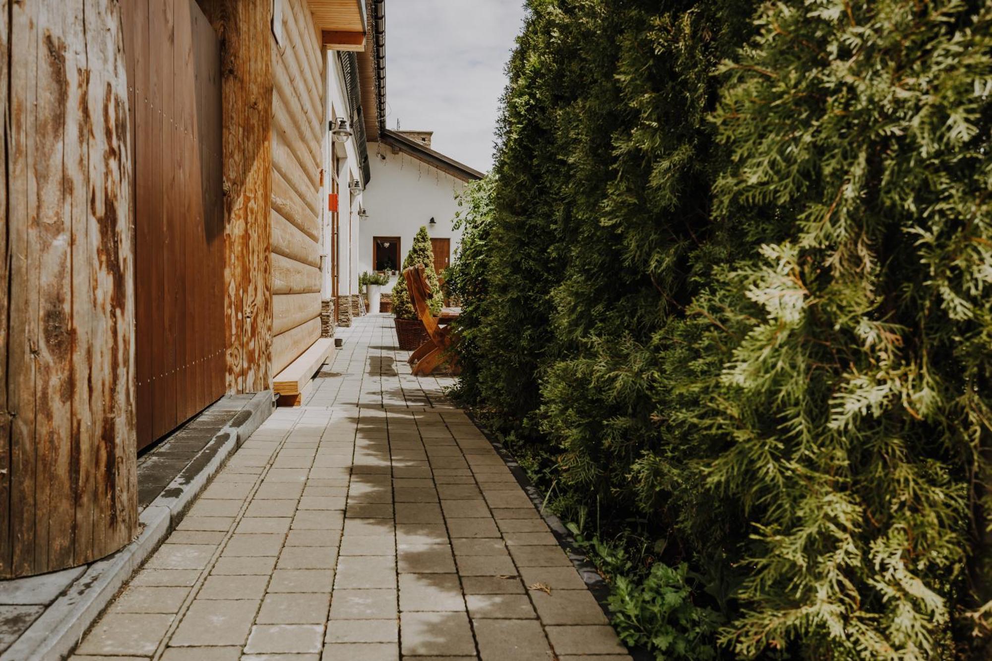 Willa Nad Potokiem Czarny Dunajec Εξωτερικό φωτογραφία
